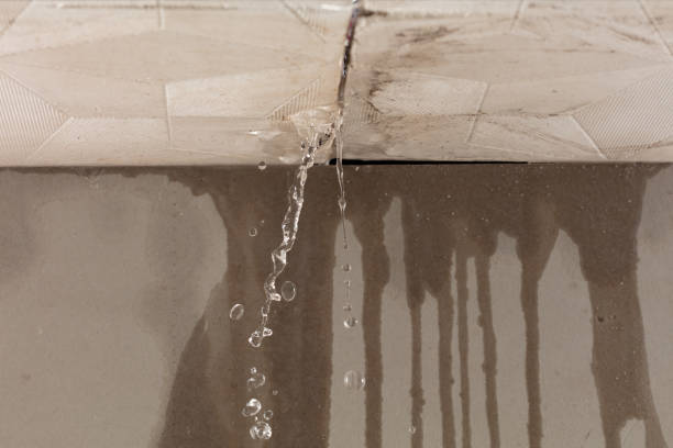 Professional Structural Drying technician working in Brenham, TX